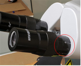 Group 12, Grouped object