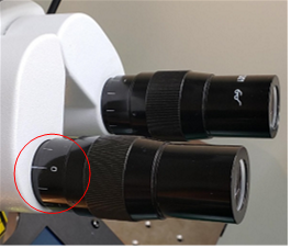 Group 11, Grouped object